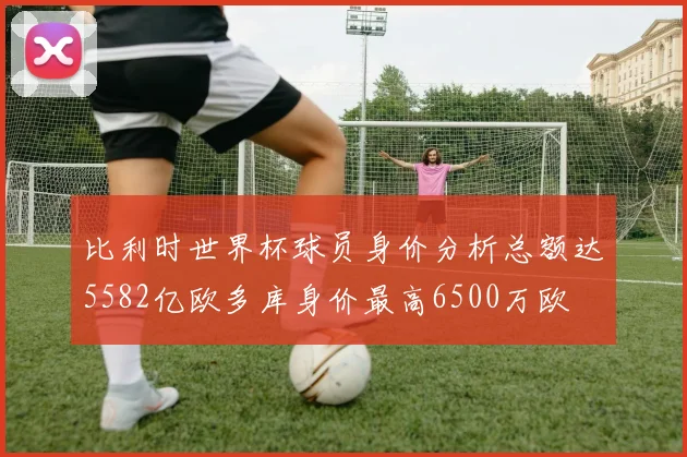 比利时世界杯球员身价分析总额达5582亿欧多库身价最高6500万欧